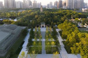 Impacts on City Livability and Resident Health