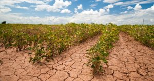 Water Scarcity and Its Ripple Effect