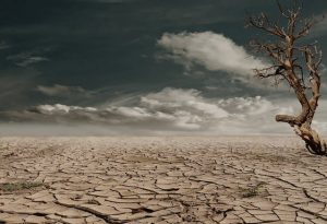 Geography in climate change mitigation