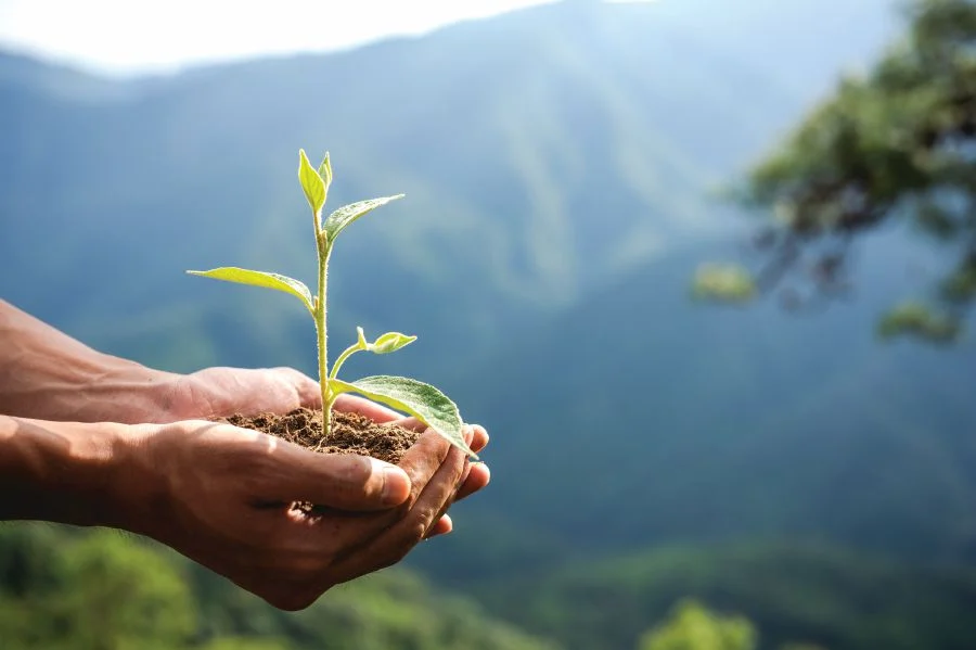Shaping a Greener Future for Our Cities