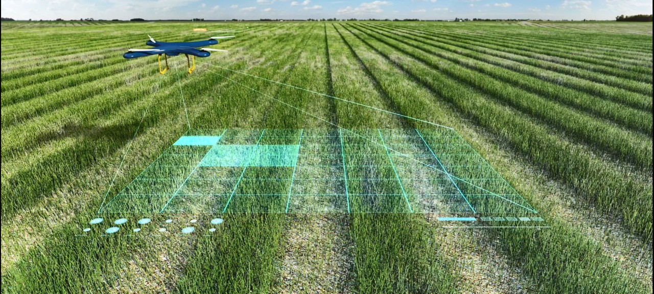 GIS in Agriculture and Food Security