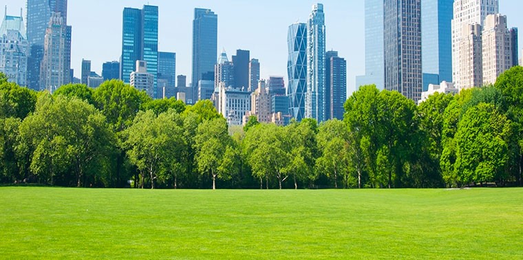 Green and Open Spaces