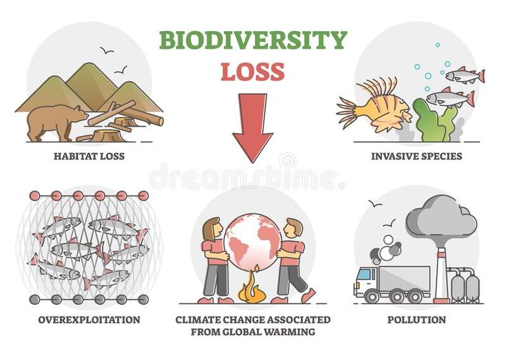 biodiversity loss