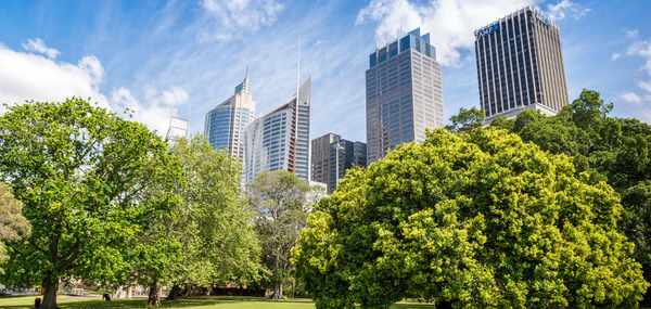Green Infrastructure and Nature-Based Solutions