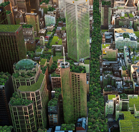 Melbourne, Australia: Urban Forest Strategy