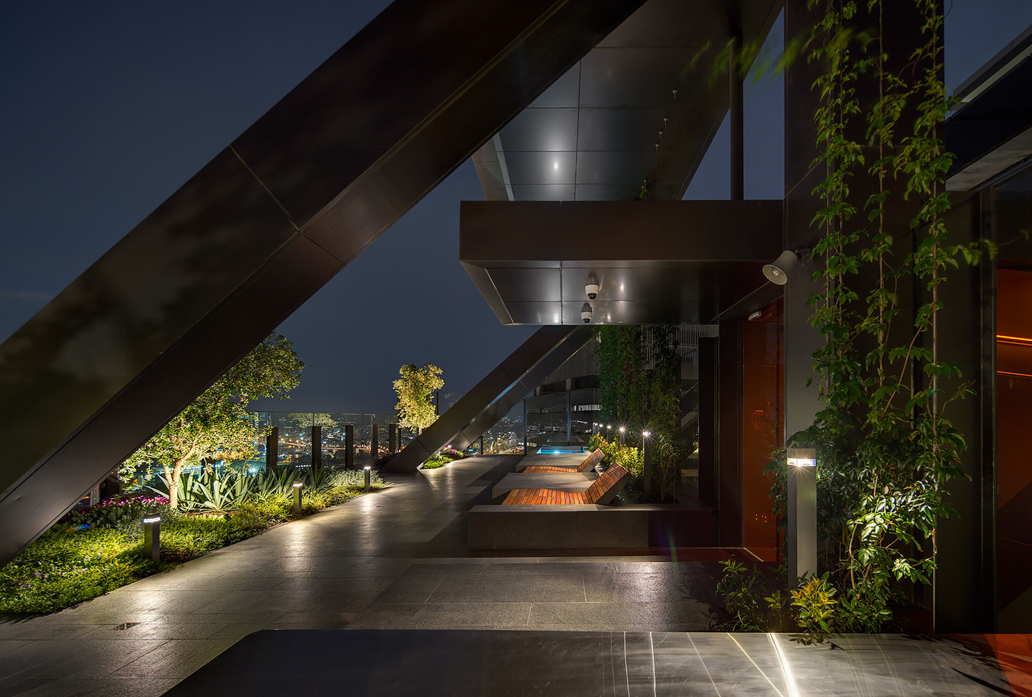 The Sky Garden: A Sanctuary in the Sky