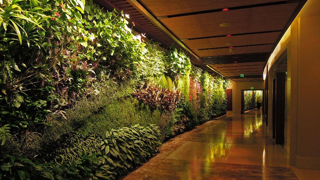 Vertical Gardens and Indoor Air Quality