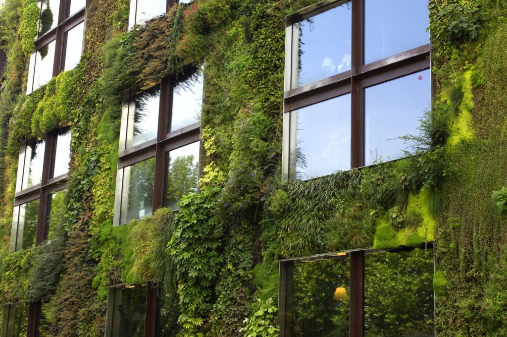 Green Roofs and Walls