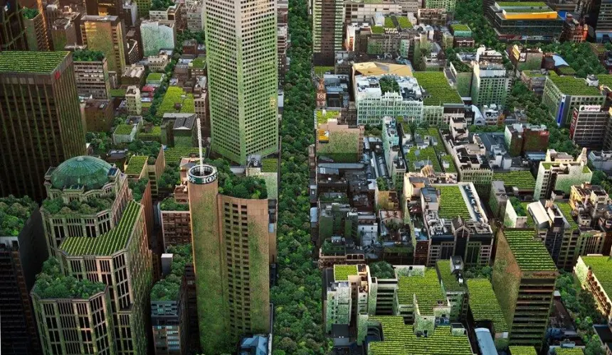 Melbourne’s Urban Forest Strategy