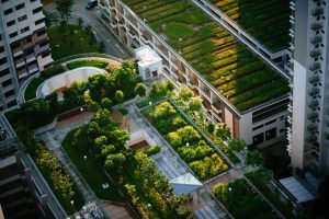 What Is a Regenerative City?