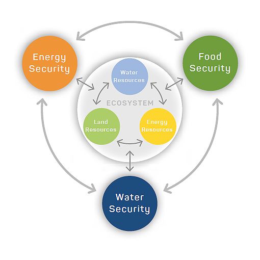 The Path to Water-Energy Nexus